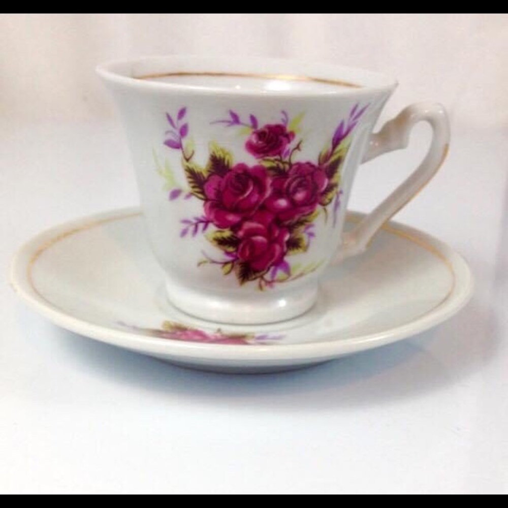 Vtg Teacup & Saucer Porcelain White Roses Small